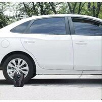 Compresor auto Siegbert, 12V, 10A , display digital cu LED, lungime cablu 3M, lampa de lucru