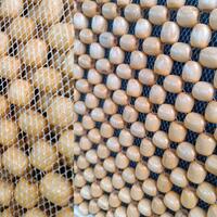 Husa scaun, RoGroup, cu bile din lemn, bej