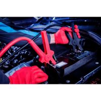 Cabluri pornire auto RoGroup, 600A, 2.4 metri