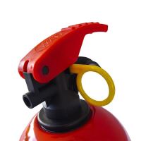 Stingator cu pulbere tip P1, 1 KG