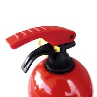Stingator cu pulbere tip P1, 1 KG