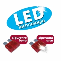 Set 10 sigurante auto mini cu led RoGroup, 12V